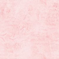 ttJN-CD3838 BLUSH
